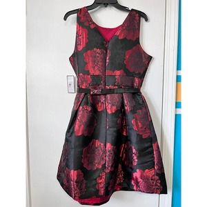 Jessica Howard Petite women Pleated Dress with Belt Size 10